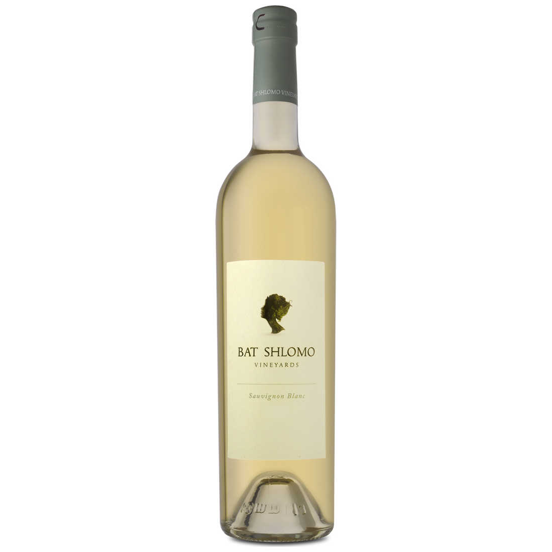 Bat Shlomo Sauvignon Blanc - A Kosher Wine From Israel