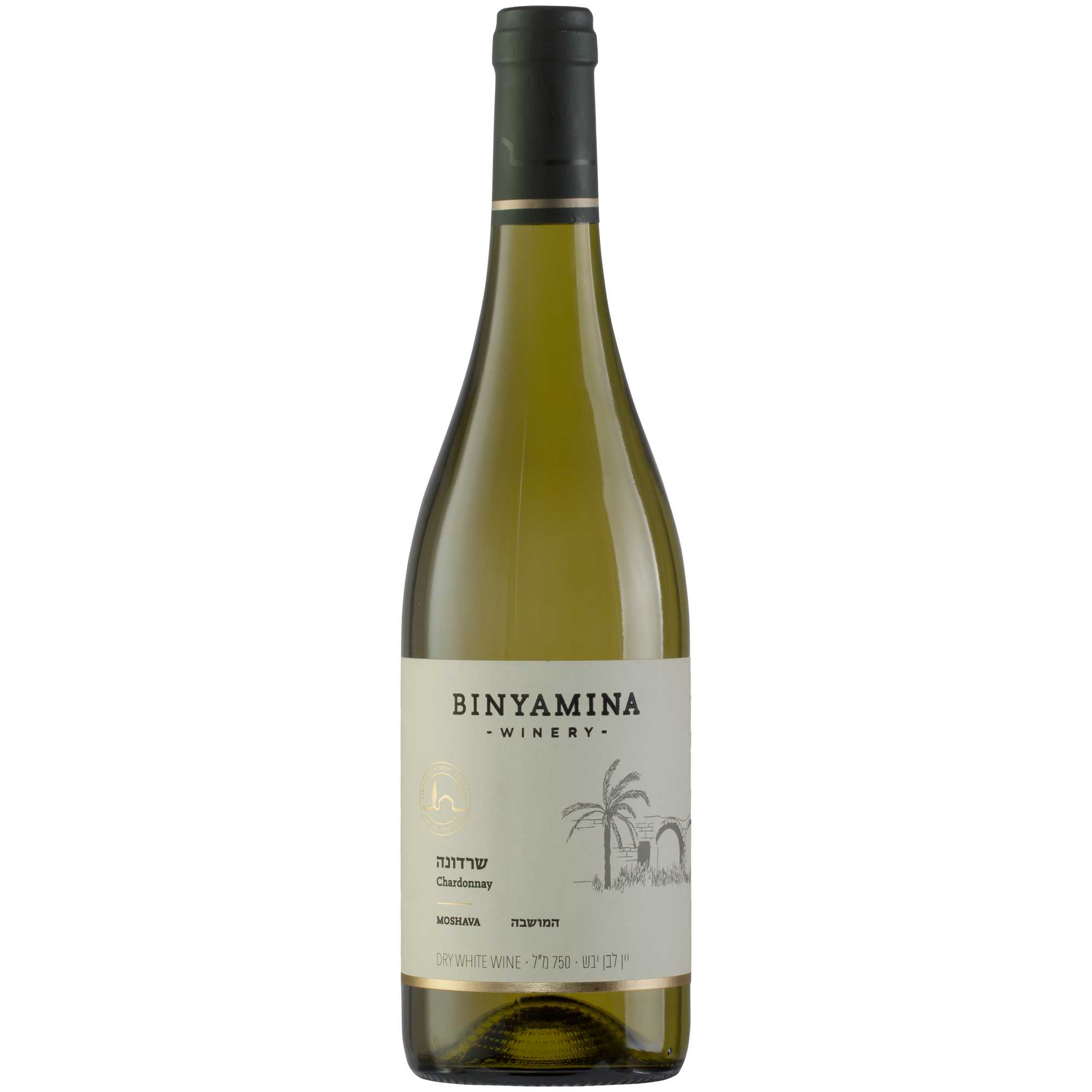 Binyamina Moshava Chardonnay - A Kosher Wine From Israel