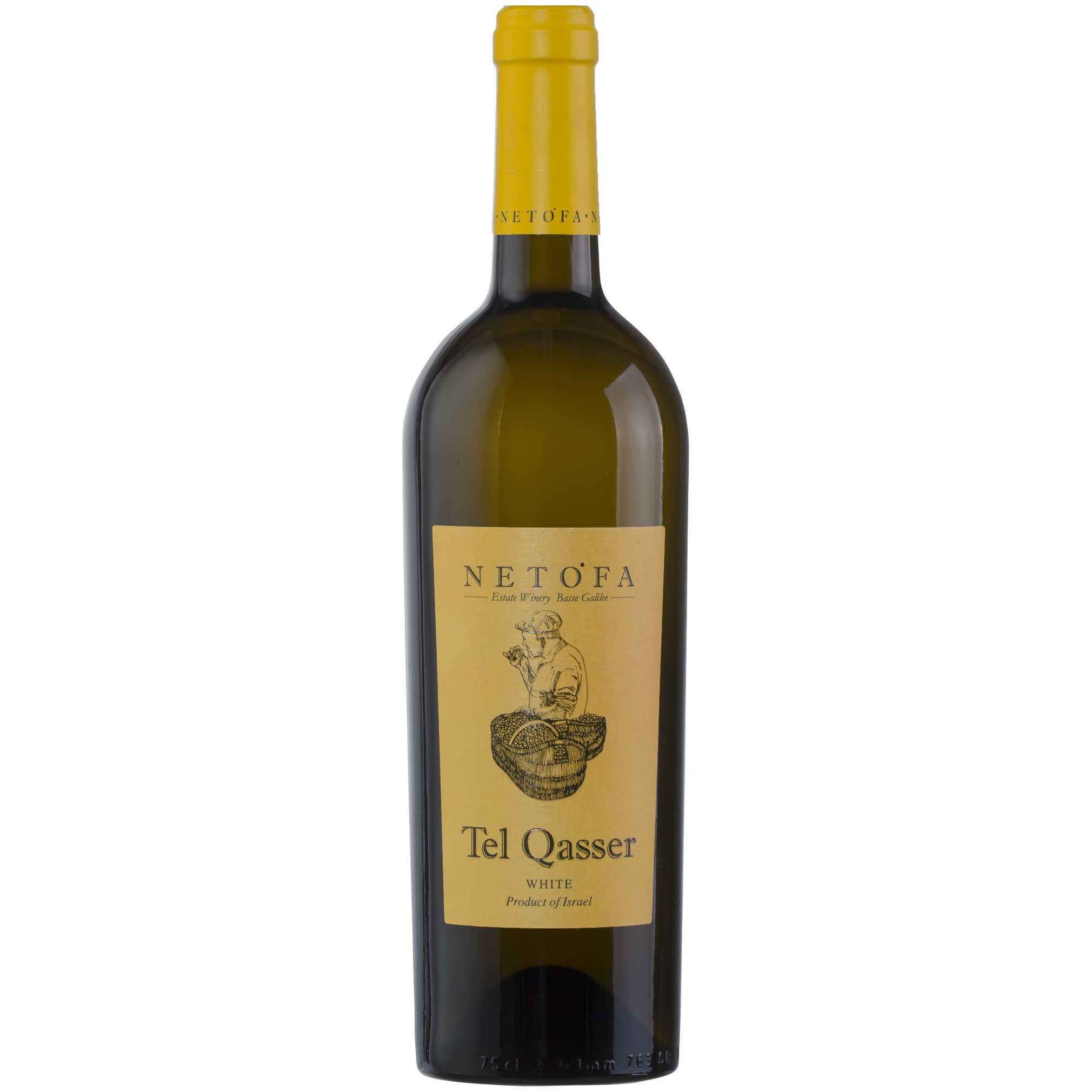 Netofa Tel Qassar White - A Kosher Wine From Israel