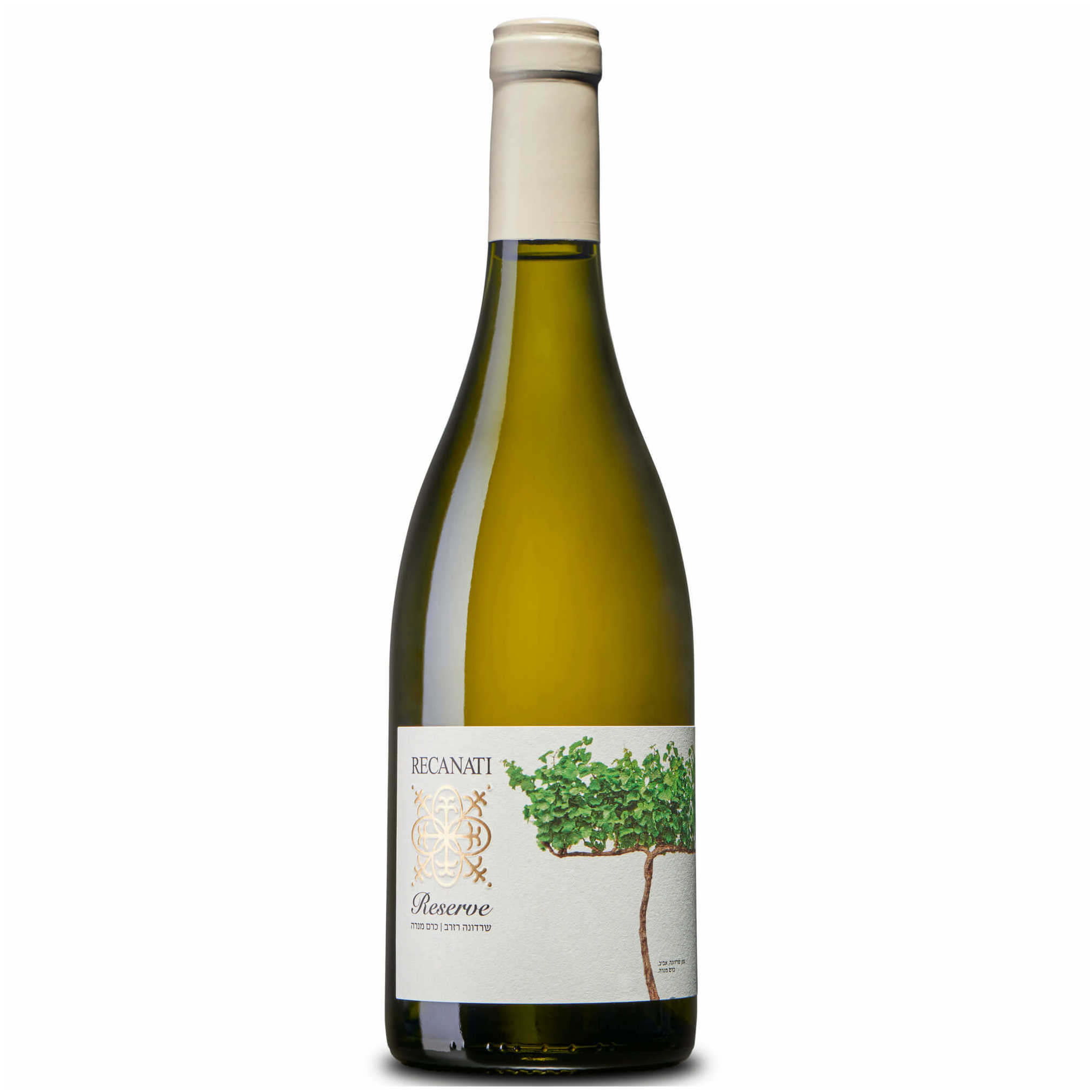 Recanati Reserve Chardonnay - A Kosher Wine From Israel