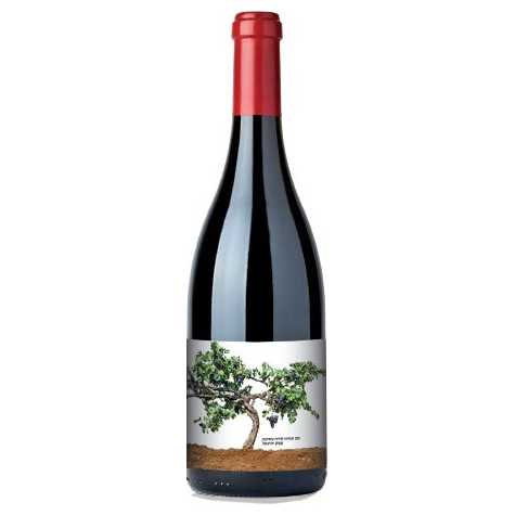 Recanati Reserve Petite Sirah - A Kosher Wine From Israel