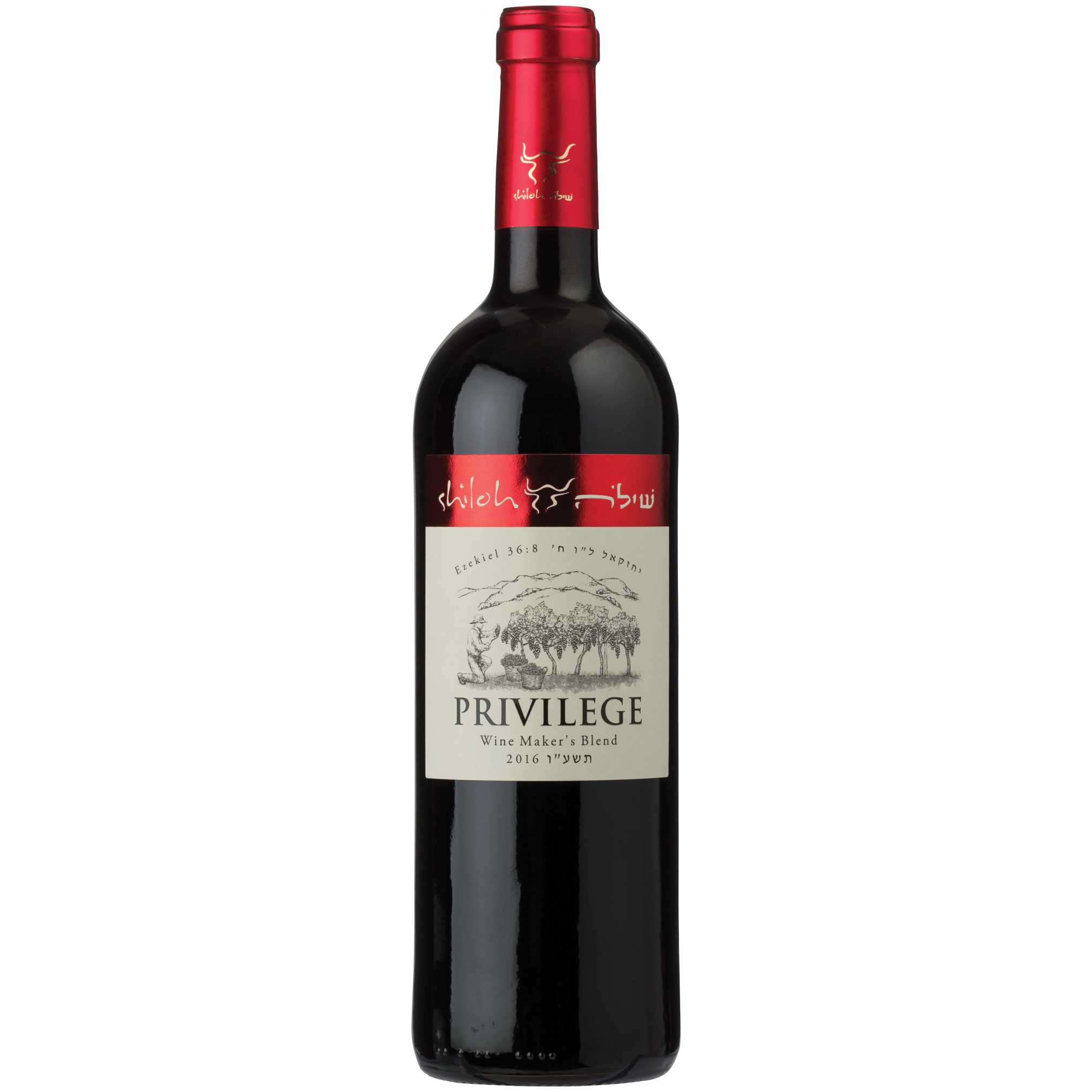 Shiloh Privilege - A Kosher Wine From Israel