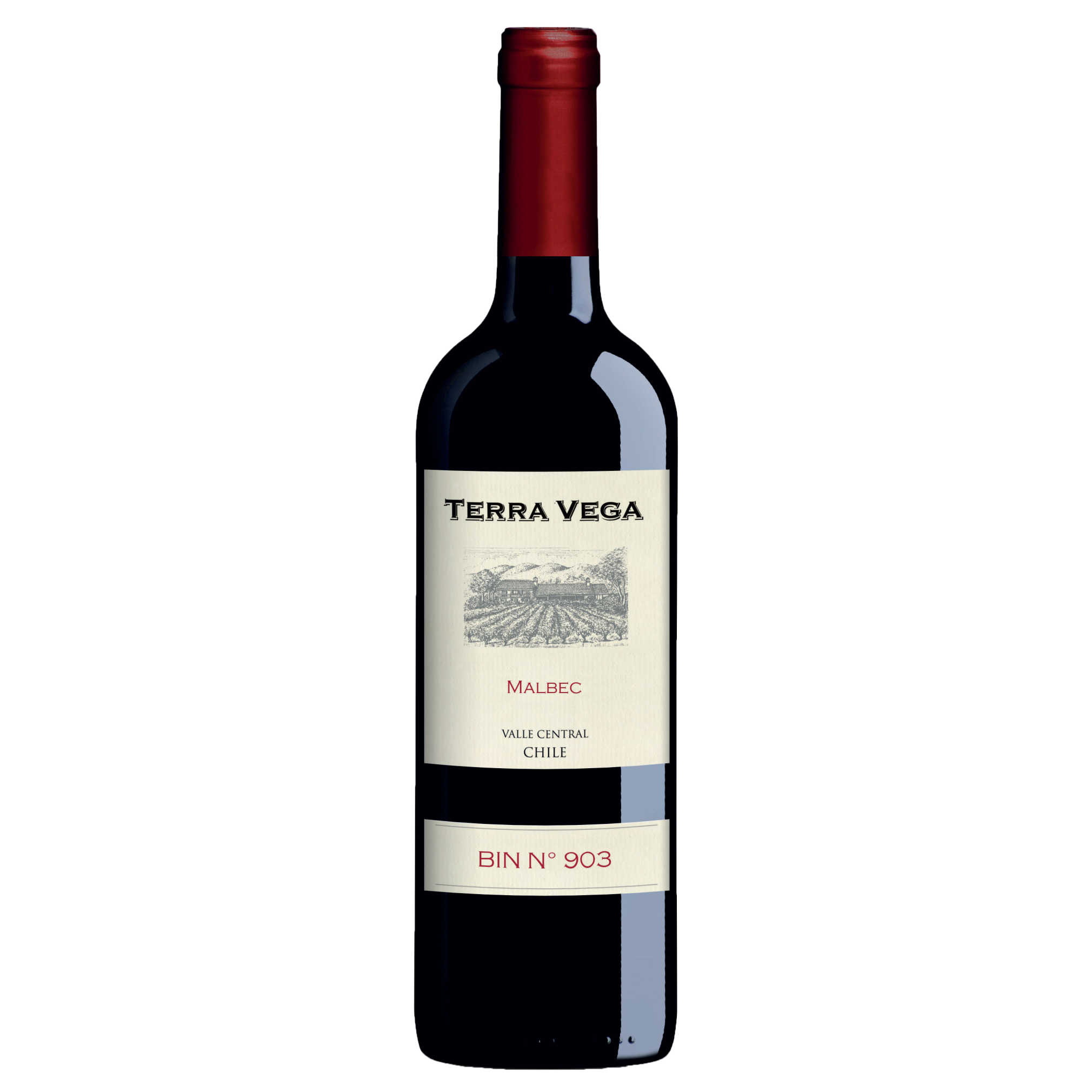 Terra Vega Malbec - A Kosher Wine From Chile
