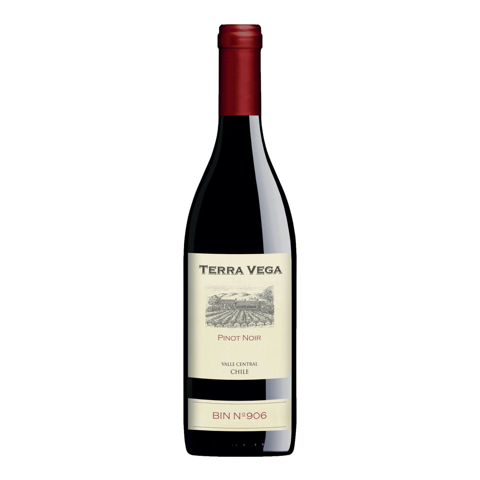 Terra Vega Pinot Noir - A Kosher Wine From Chile