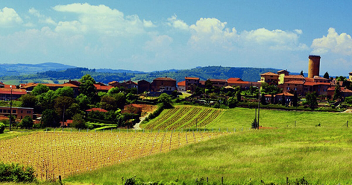 Kosher Wines From Beaujolais France