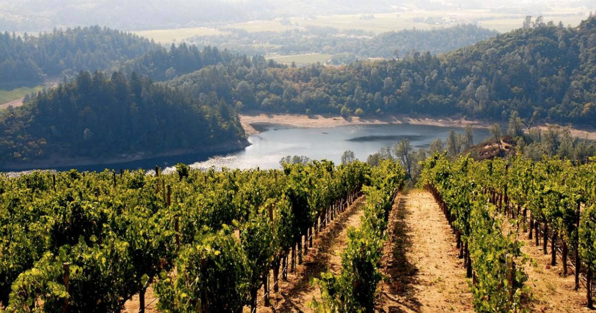 Kosher California Wines