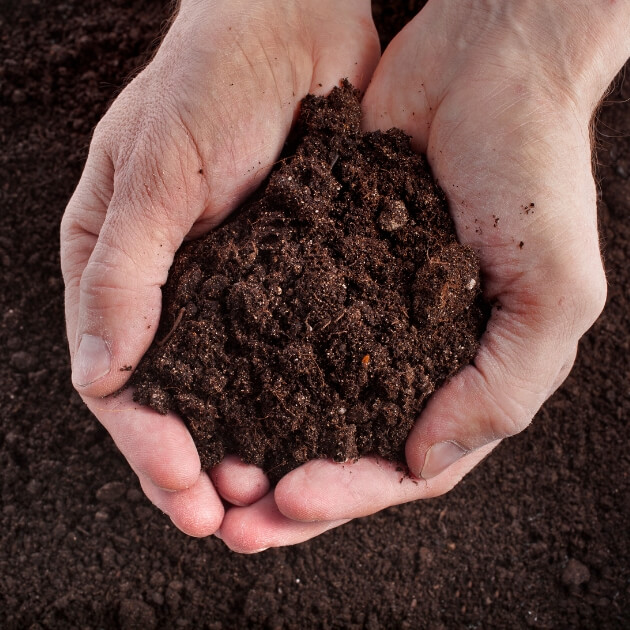 Terroir in Wine