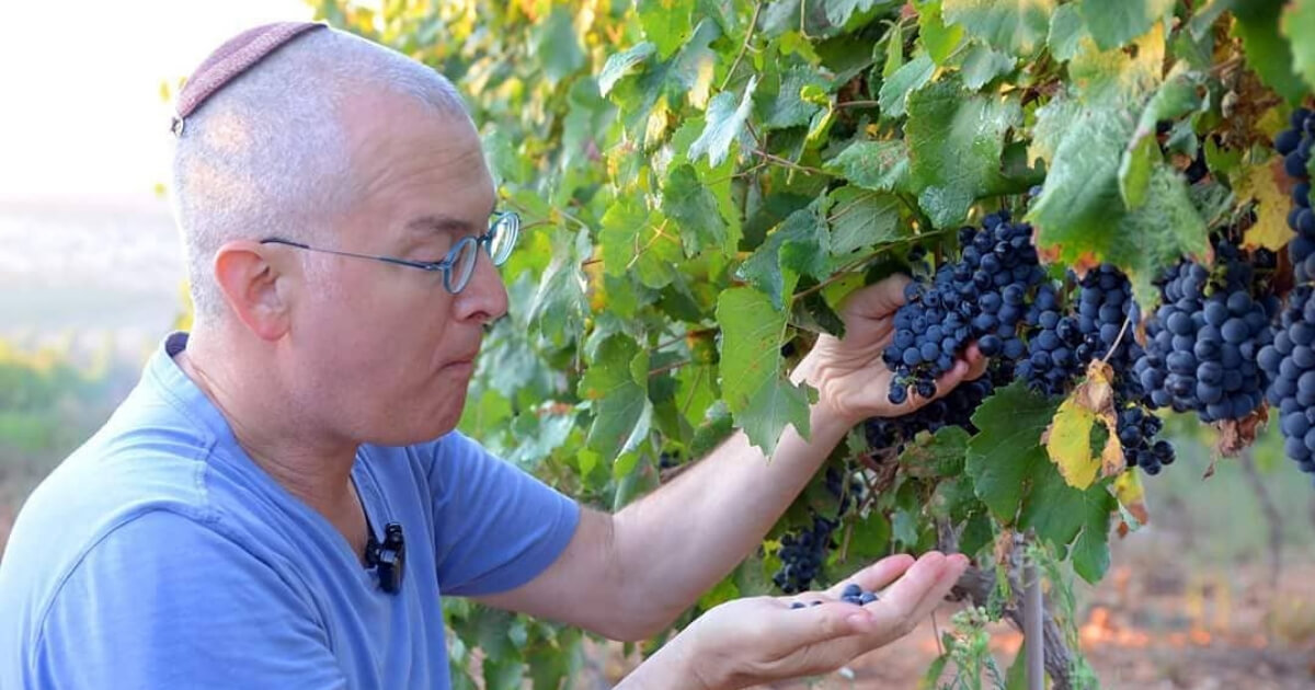 Amichai Lourie of Shiloh Winery